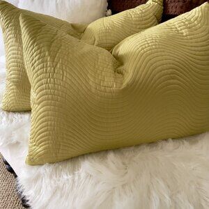 Silk Fabric Pillows